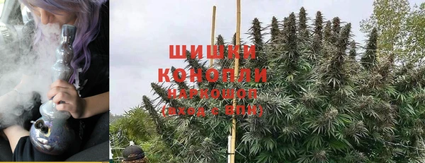 индика Алзамай