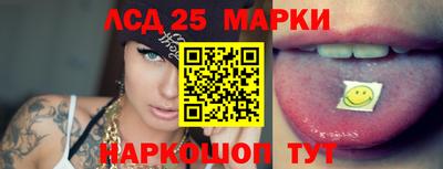 амф Новодвинск