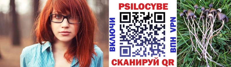 Галлюциногенные грибы Psilocybe  Кохма 
