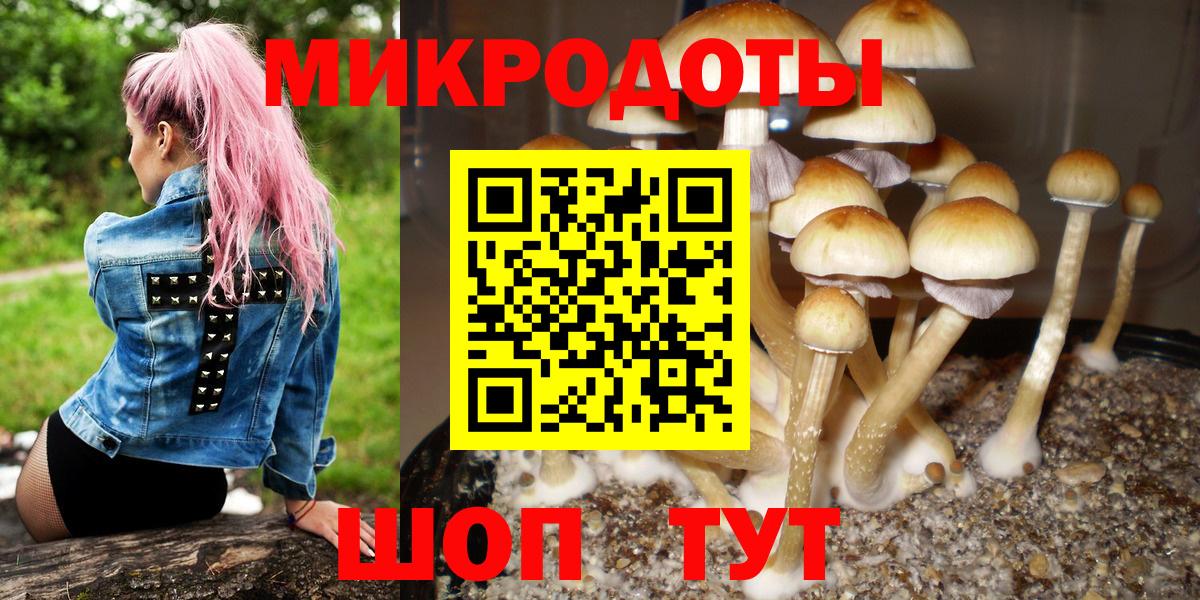 Псилоцибиновые грибы MAGIC MUSHROOMS Кохма