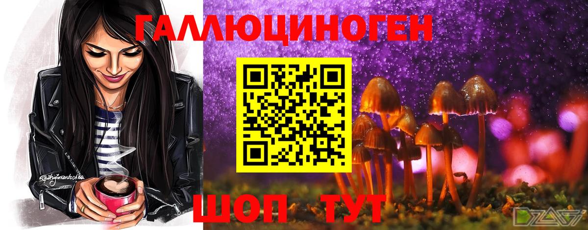 Галлюциногенные грибы Psilocybe  Вход с VPN  Кохма  Галлюциногенные грибы мухоморы 